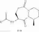 Fig. 158 - Processes and intermediates