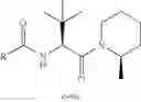 Fig. 164 - Processes and intermediates