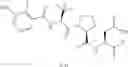 Fig. 316 - Processes and intermediates