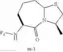 Fig. 84 - Processes and intermediates
