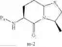 Fig. 85 - Processes and intermediates