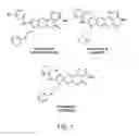 Fig. 02 - Aβ-binding small molecules