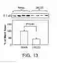 Fig. 14 - Aβ-binding small molecules