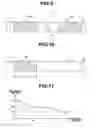 Fig. 09 - Endoscope apparatus