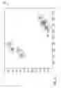 Fig. 11 - Determination of a physiological parameter