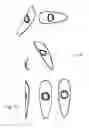 Fig. 04 - SPOT OR RASH TESTER