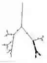 Fig. 01 - VISUALIZATION OF ABNORMALITIES OF AIRWAY WALLS AND LUMENS