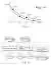 Fig. 12 - Magnetic resonance imaging apparatus reconstructing rephase and dephase images