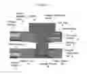 Fig. 07 - Animal holder for in vivo tomographic imaging with multiple modalities