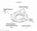 Fig. 10 - Animal holder for in vivo tomographic imaging with multiple modalities
