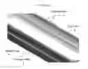 Fig. 11 - Animal holder for in vivo tomographic imaging with multiple modalities