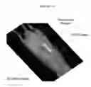 Fig. 45 - Animal holder for in vivo tomographic imaging with multiple modalities