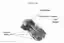 Fig. 49 - Animal holder for in vivo tomographic imaging with multiple modalities