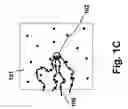 Fig. 03 - Apparatus and method for irradiating a scattering medium with a reconstructive wave