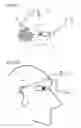 Fig. 09 - Electroencephalogram interface system