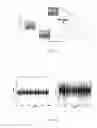 Fig. 04 - Systems and methods for reproducing body motions via networks