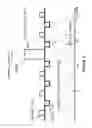 Fig. 05 - Laser-perforated intra-parenchymal micro-probe