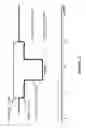 Fig. 06 - Laser-perforated intra-parenchymal micro-probe