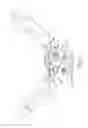Fig. 06 - Pivot mechanism for a joint support
