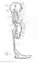 Fig. 08 - Knee orthosis, and method for controlling a knee orthosis