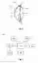 Fig. 02 - Power Generator For Glaucoma Drainage Device