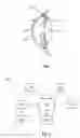 Fig. 02 - Power saving glaucoma drainage device