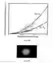 Fig. 09 - Method for modifying the refractive index of ocular tissues