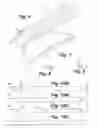 Fig. 07 - Bone graft delivery device and method of using the same