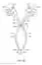 Fig. 08 - CURVED CANNULA