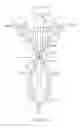 Fig. 09 - CURVED CANNULA