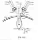 Fig. 27 - CURVED CANNULA