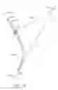Fig. 28 - CURVED CANNULA
