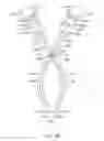 Fig. 08 - Curved cannula surgical system control