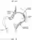 Fig. 07 - Method and apparatus for re-attaching the labrum to the acetabulum, including the provision and use of a novel suture anchor system