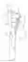 Fig. 10 - Method for Applying Surgical Clips Particularly Useful in the Endoluminal Treatment of Gastroesophageal Reflux Disease (GERD)