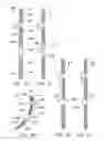 Fig. 08 - Composite vertebral rod system and methods of use