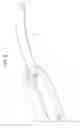 Fig. 09 - Spinal rod insertion method