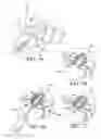 Fig. 07 - Porous expansion bolt