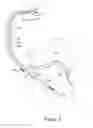 Fig. 03 - Adaptive safety pacing