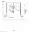 Fig. 06 - SACRAL NEUROSTIMULATION TO INDUCE MICTURITION IN PARAPLEGICS