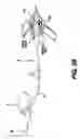 Fig. 25 - Obstructive Sleep Apnea Treatment Devices, Systems and Methods