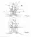 Fig. 03 - BIFURCATED LEAD SYSTEM AND APPARATUS