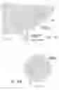 Fig. 12 - ANTI-ANGIOGENIC COMPOSITIONS AND METHODS OF USE