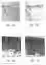 Fig. 37 - ANTI-ANGIOGENIC COMPOSITIONS AND METHODS OF USE