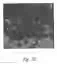 Fig. 40 - ANTI-ANGIOGENIC COMPOSITIONS AND METHODS OF USE