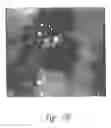 Fig. 41 - ANTI-ANGIOGENIC COMPOSITIONS AND METHODS OF USE