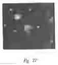 Fig. 42 - ANTI-ANGIOGENIC COMPOSITIONS AND METHODS OF USE