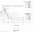 Fig. 62 - ANTI-ANGIOGENIC COMPOSITIONS AND METHODS OF USE