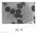 Fig. 71 - ANTI-ANGIOGENIC COMPOSITIONS AND METHODS OF USE