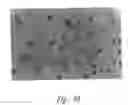 Fig. 75 - ANTI-ANGIOGENIC COMPOSITIONS AND METHODS OF USE